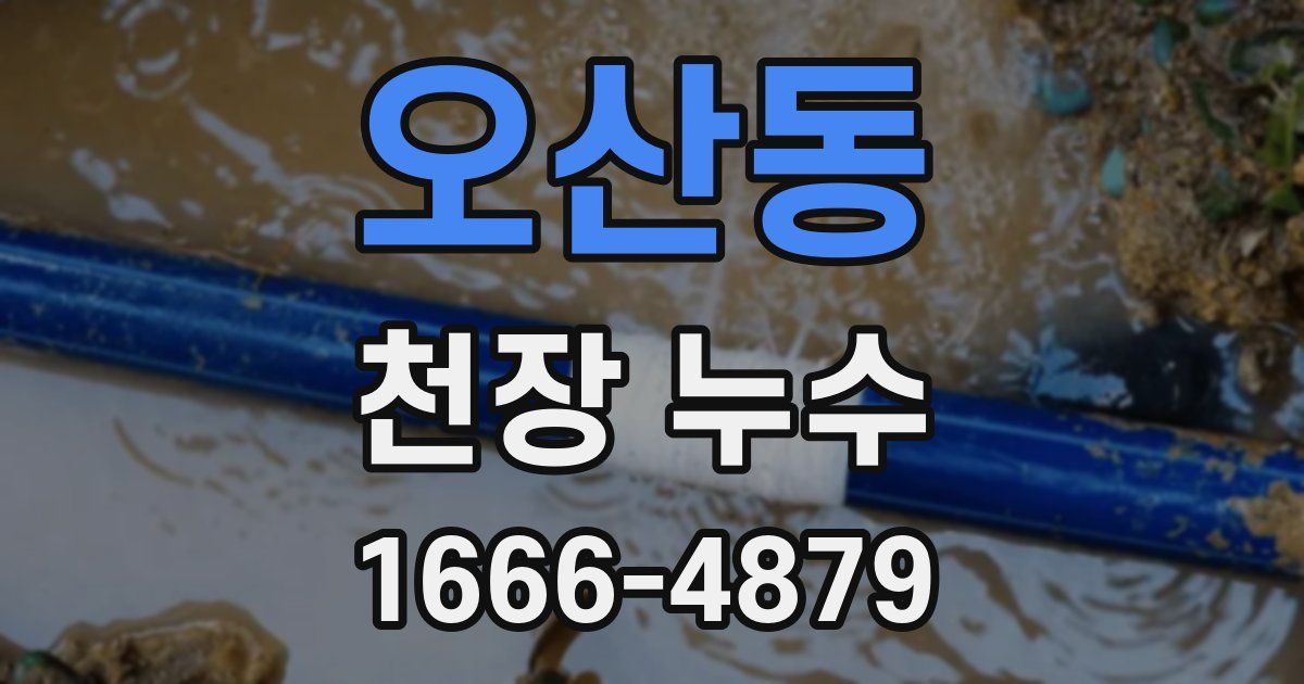 오산동 천장 누수