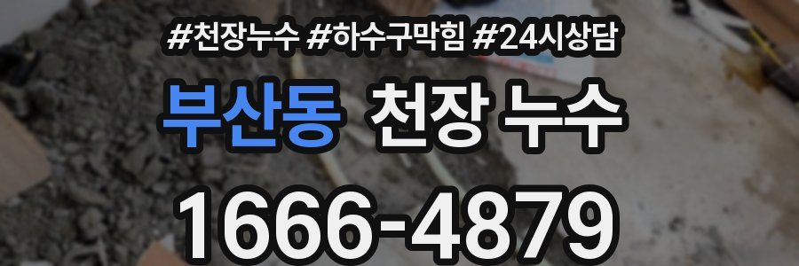 부산동 천장 누수