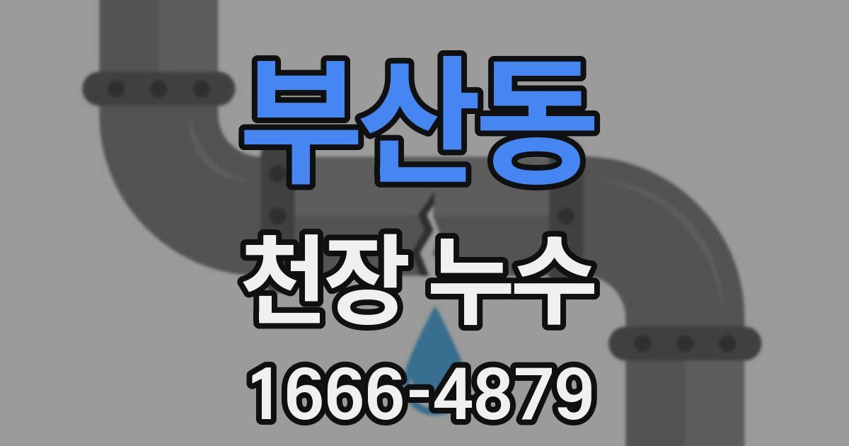 부산동 천장 누수