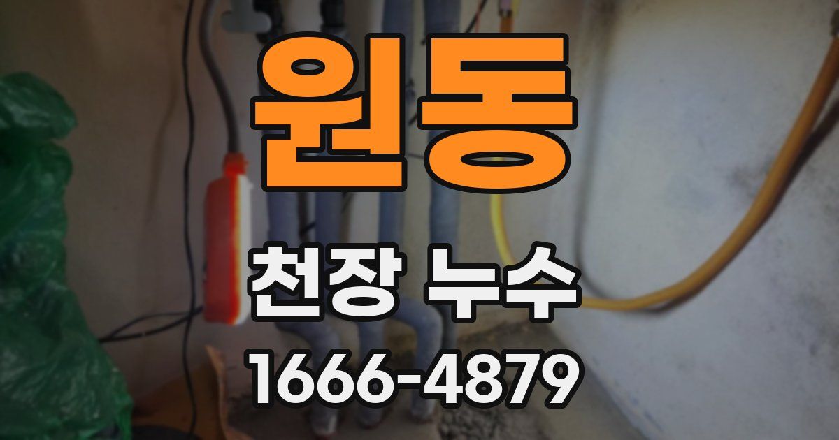 원동 천장 누수