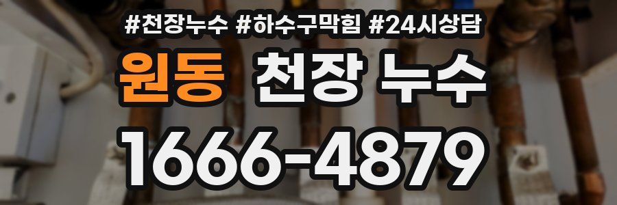 원동 천장 누수