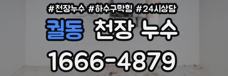 궐동 천장 누수