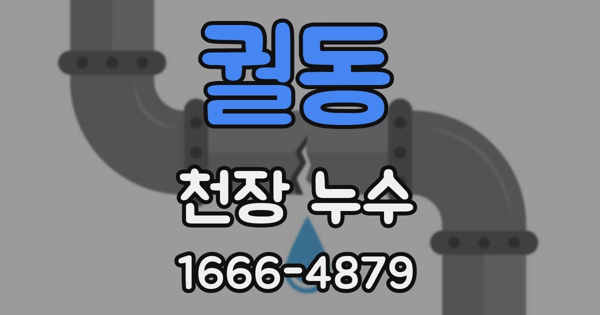 궐동 천장 누수