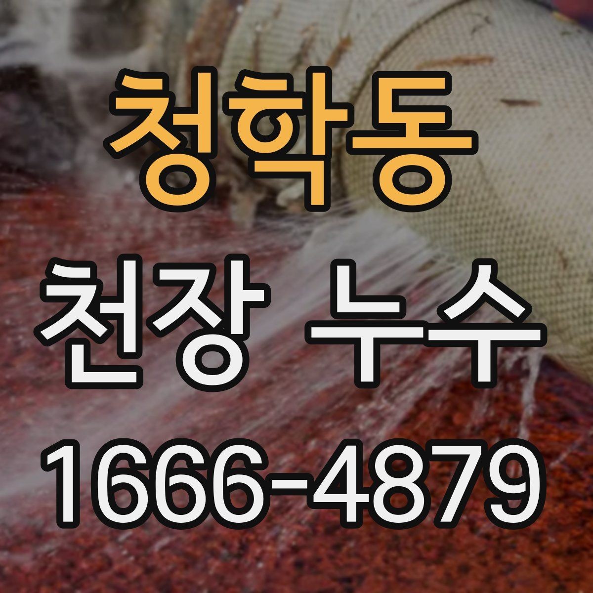 청학동 천장 누수 천장 석고가 가루처럼 떨어지면 위험합니다