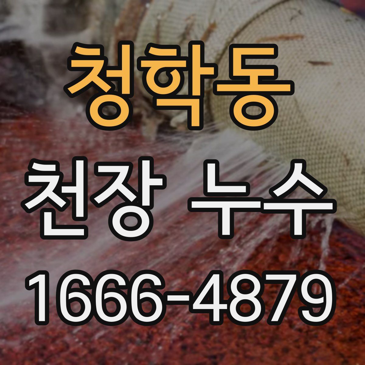 청학동 천장 누수