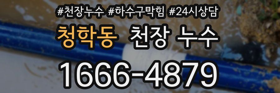 청학동 천장 누수