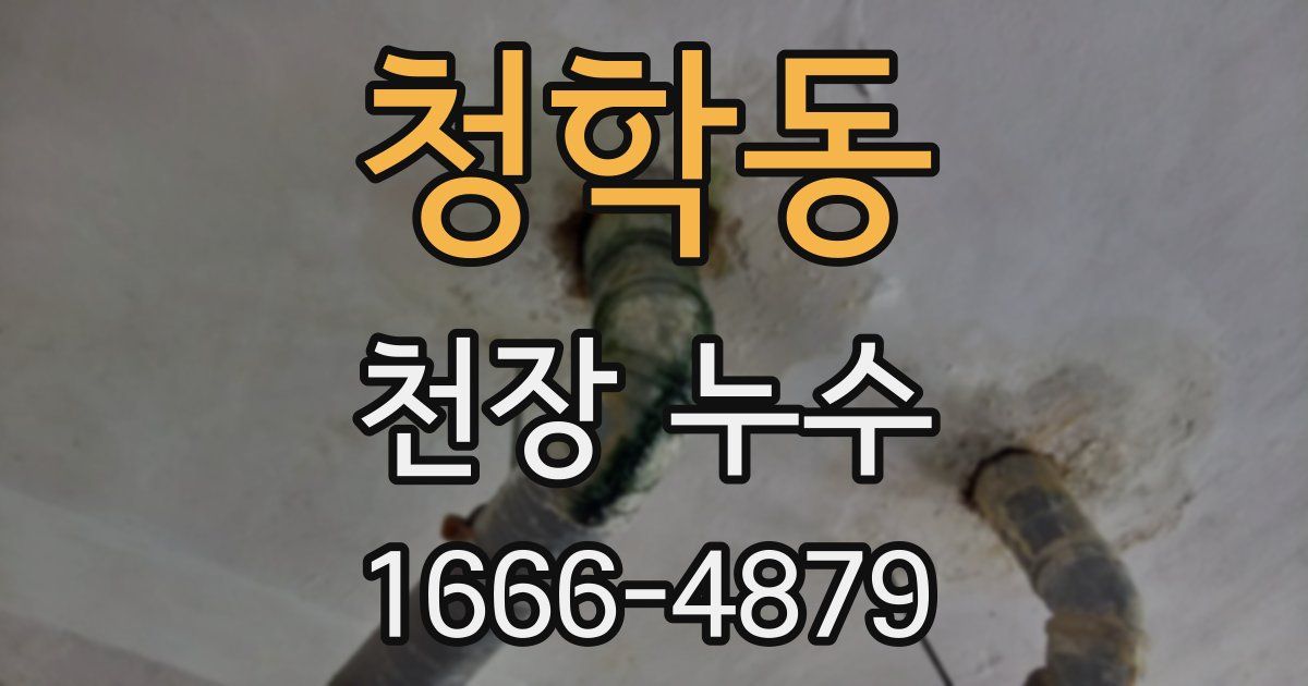 청학동 천장 누수