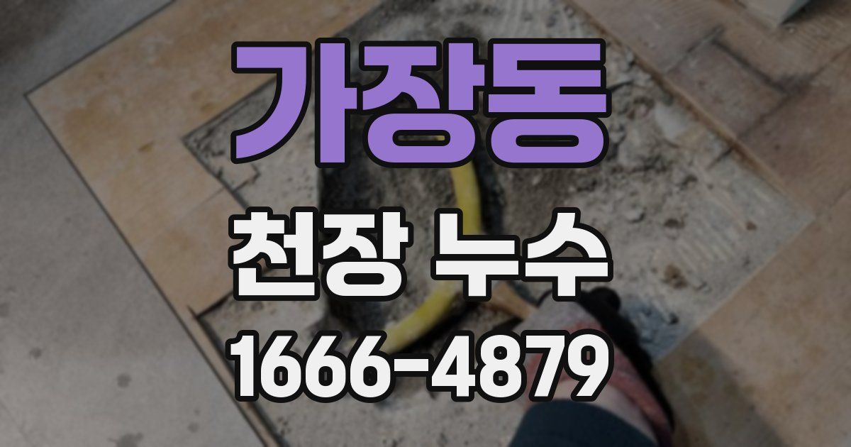 가장동 천장 누수