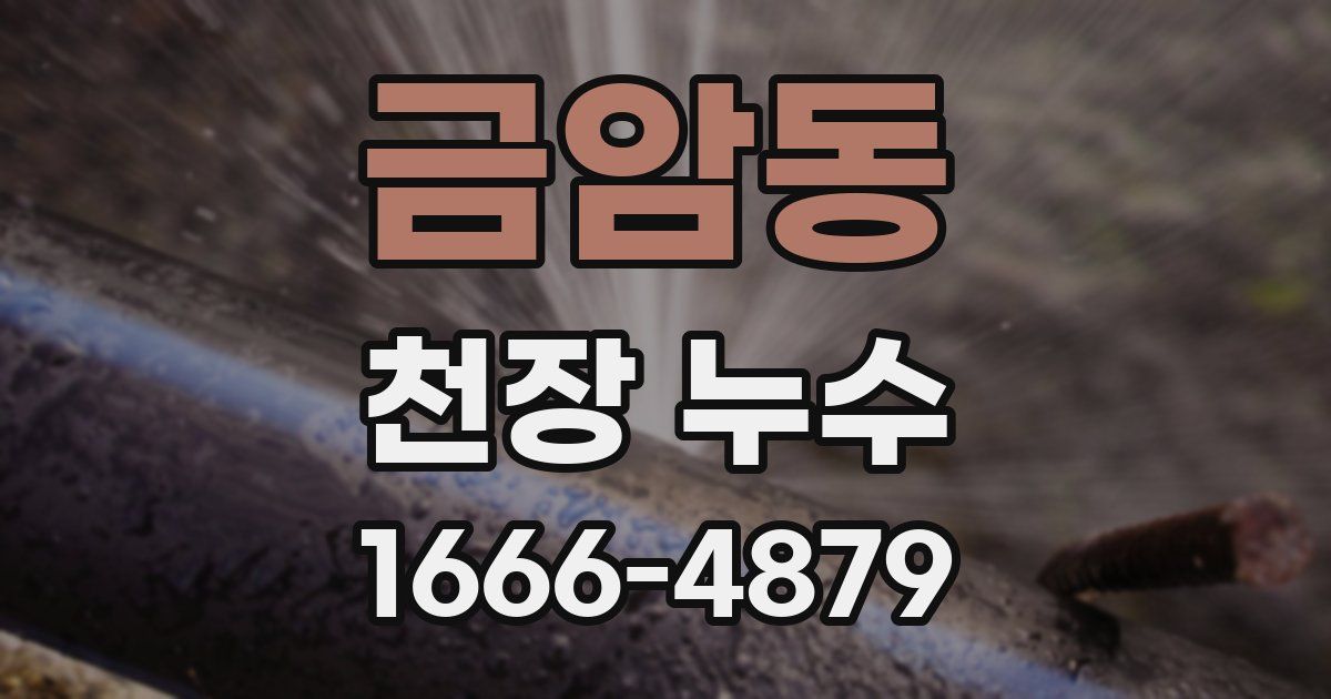 금암동 천장 누수