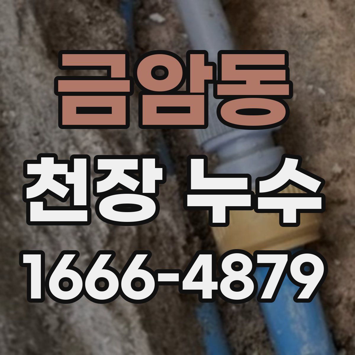 금암동 천장 누수