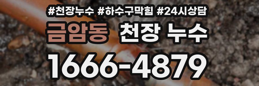 금암동 천장 누수