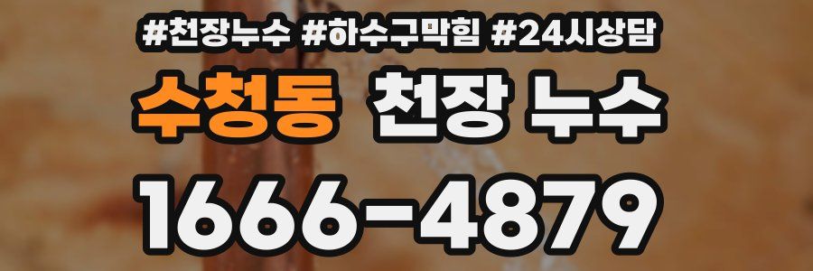 수청동 천장 누수