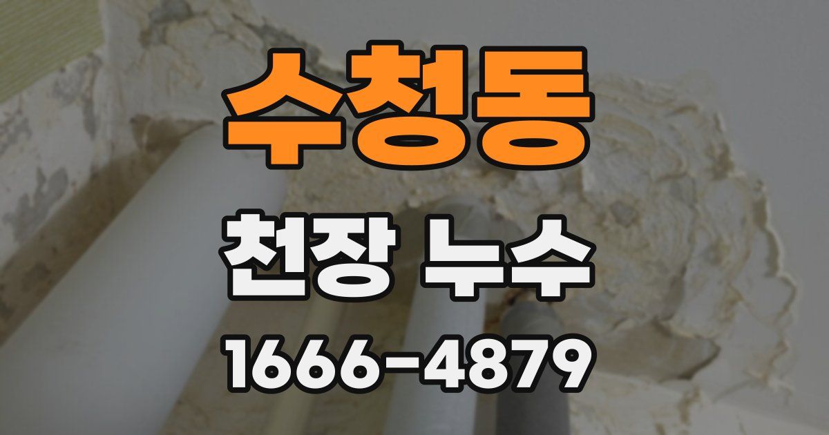 수청동 천장 누수