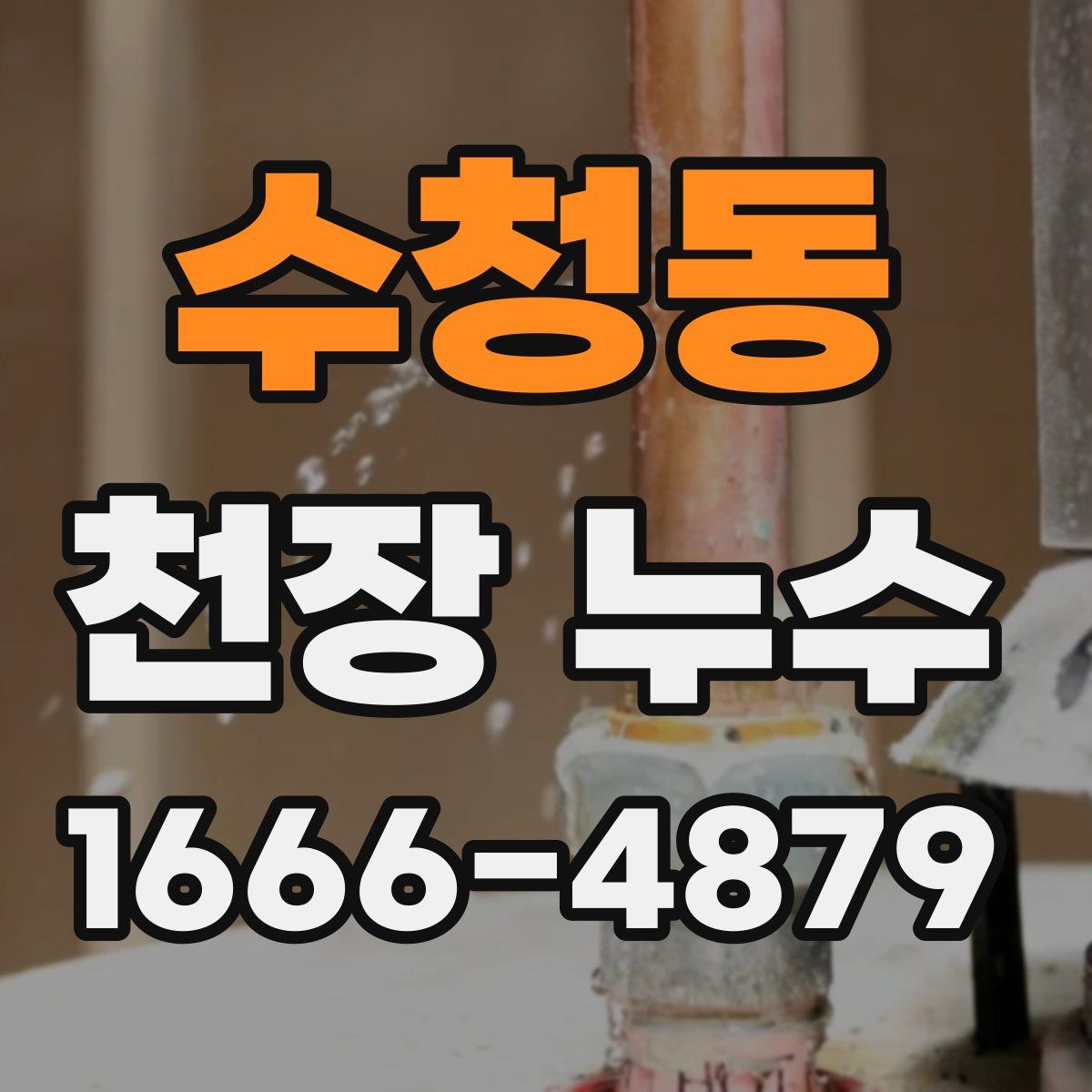 수청동 천장 누수