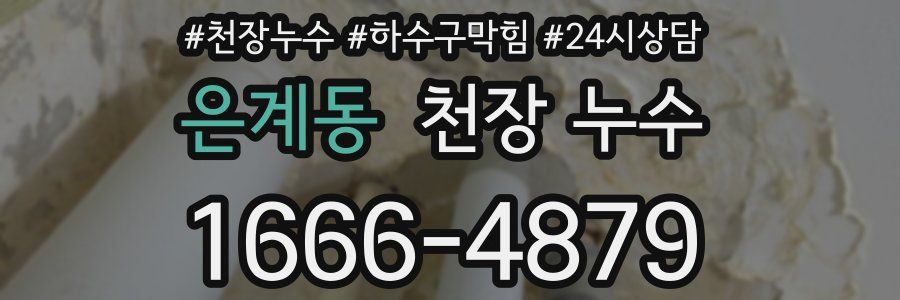 은계동 천장 누수