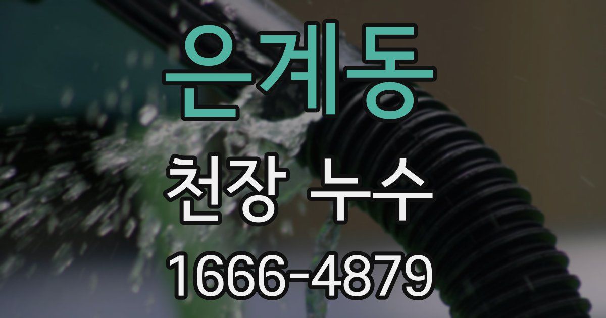 은계동 천장 누수