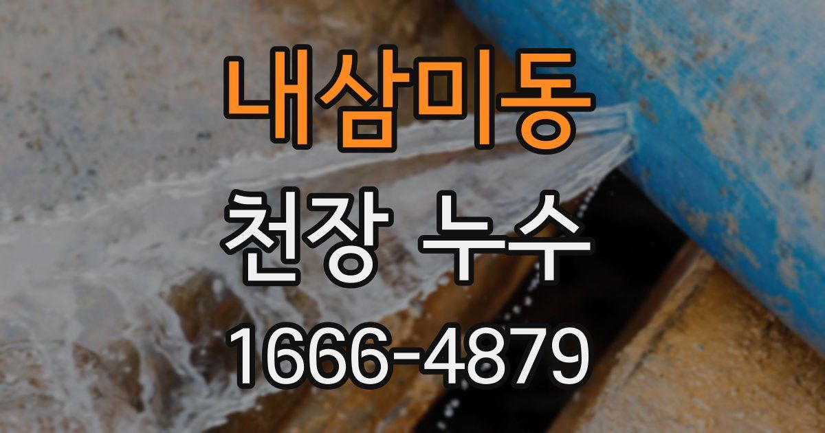 내삼미동 천장 누수