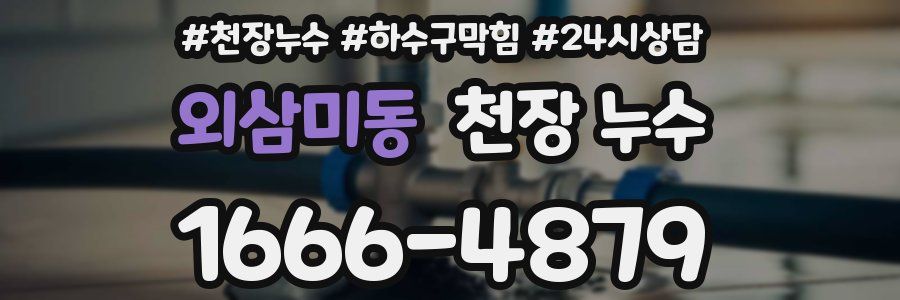 외삼미동 천장 누수