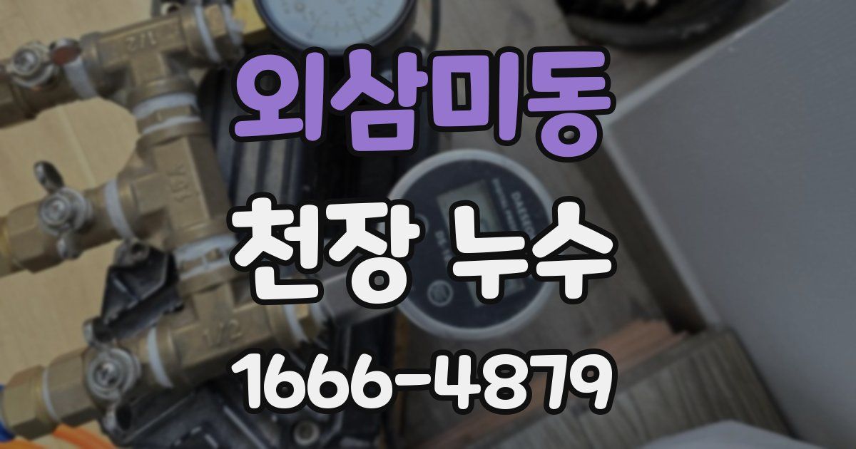 외삼미동 천장 누수