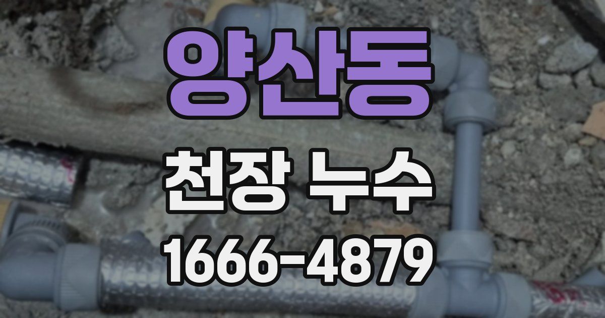 양산동 천장 누수