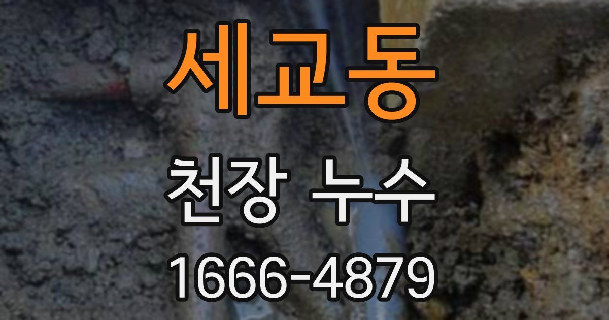 세교동 천장 누수