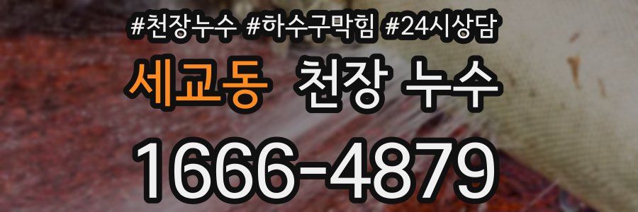 세교동 천장 누수