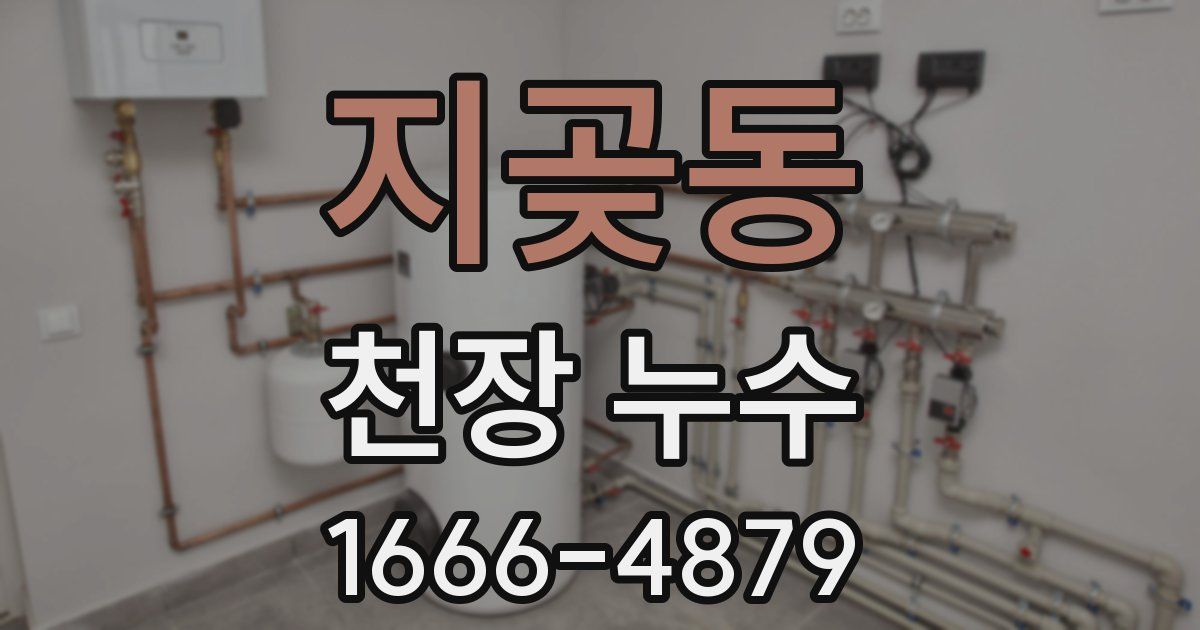 지곶동 천장 누수