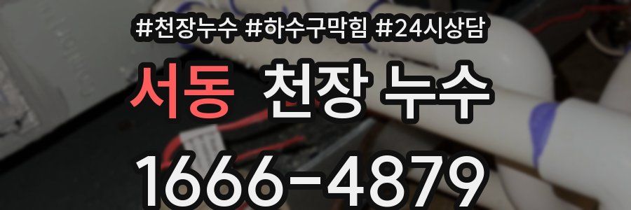 서동 천장 누수