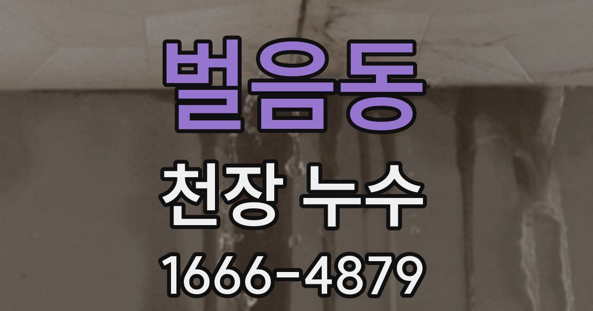 벌음동 천장 누수