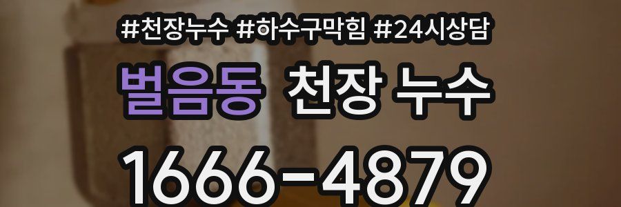 벌음동 천장 누수