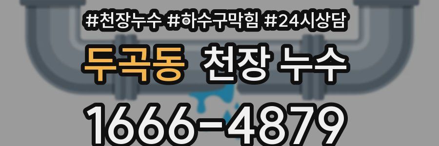 두곡동 천장 누수