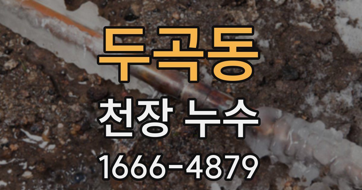 두곡동 천장 누수