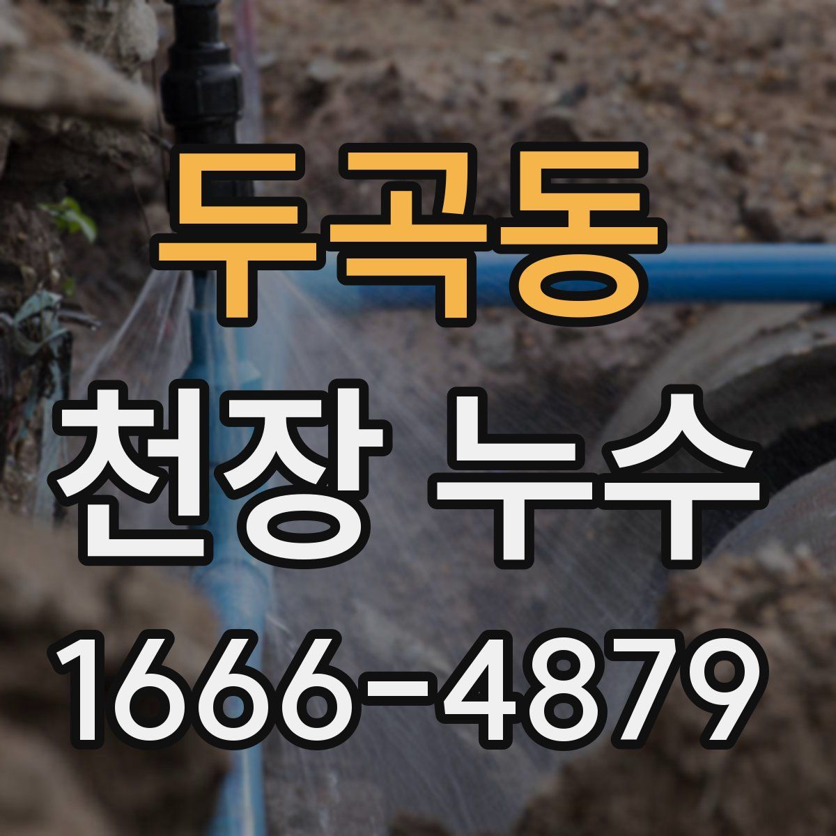 두곡동 천장 누수