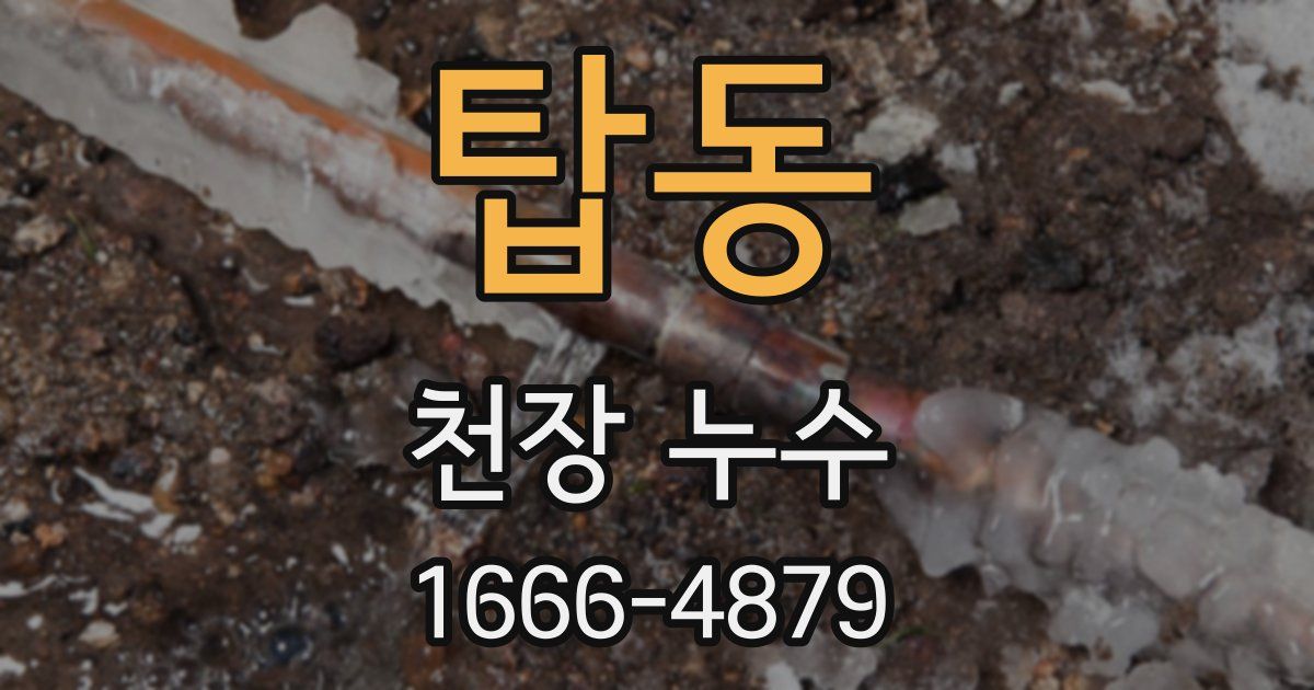 탑동 천장 누수