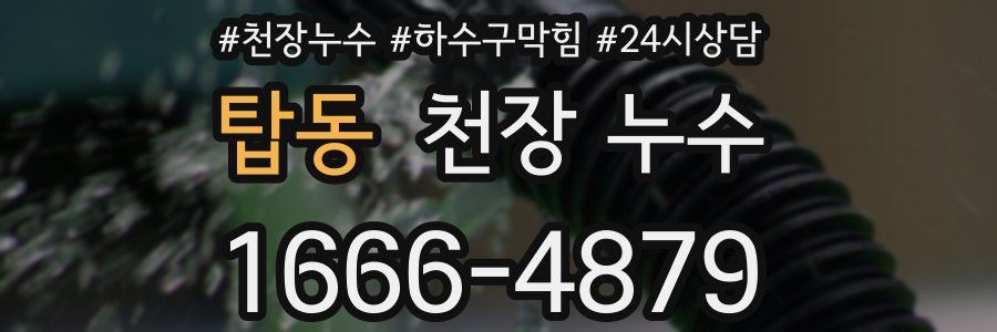 탑동 천장 누수