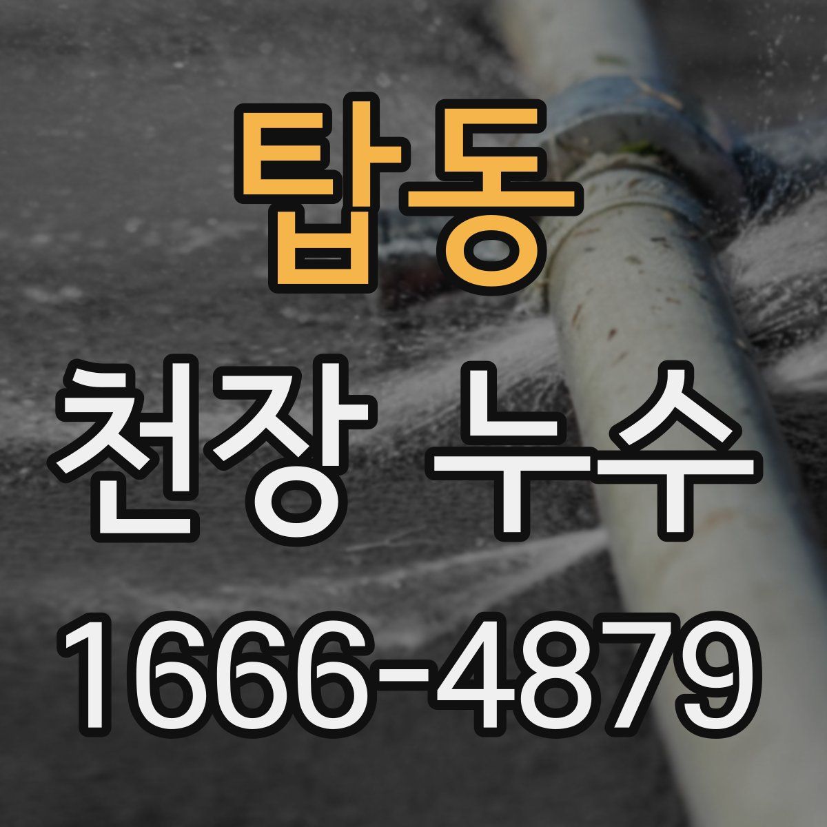 탑동 천장 누수