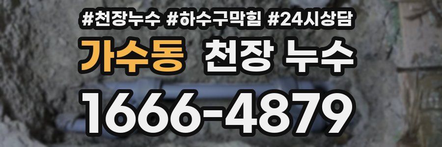가수동 천장 누수