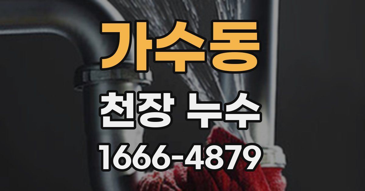 가수동 천장 누수