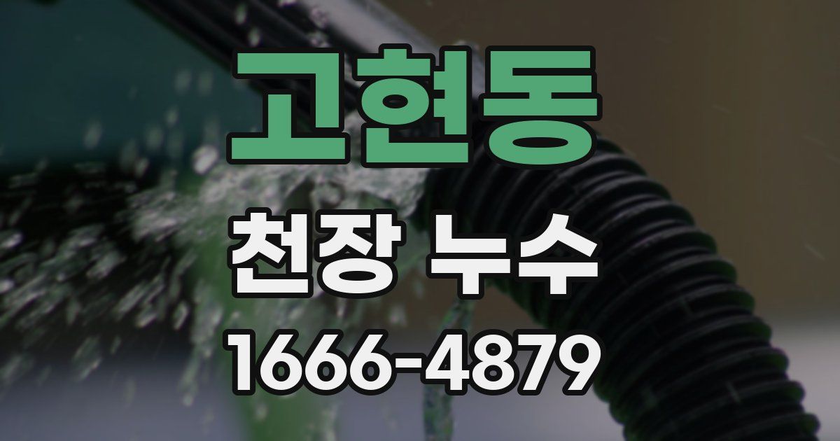 고현동 천장 누수