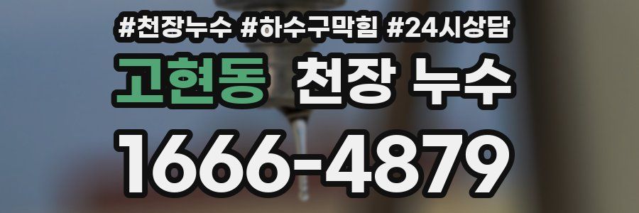 고현동 천장 누수