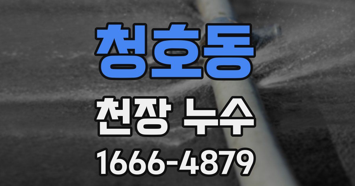 청호동 천장 누수