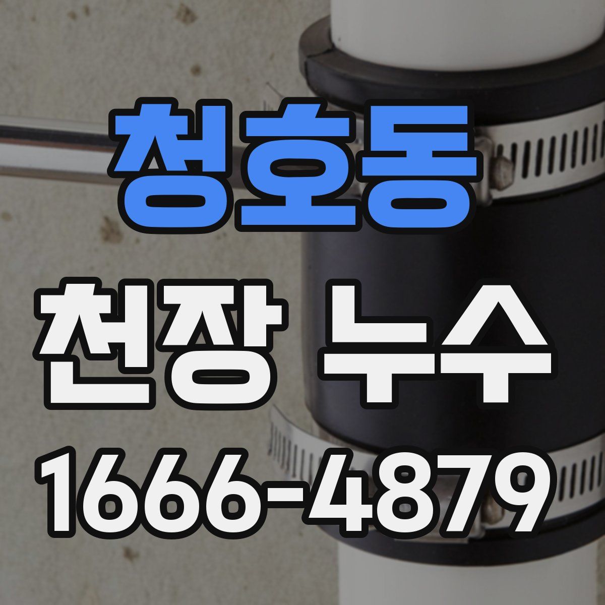 청호동 천장 누수