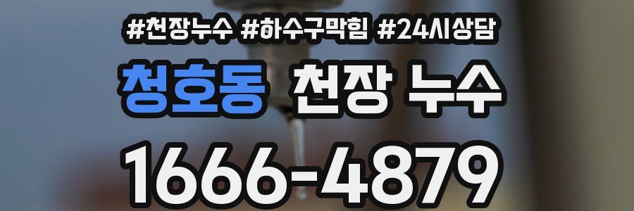 청호동 천장 누수