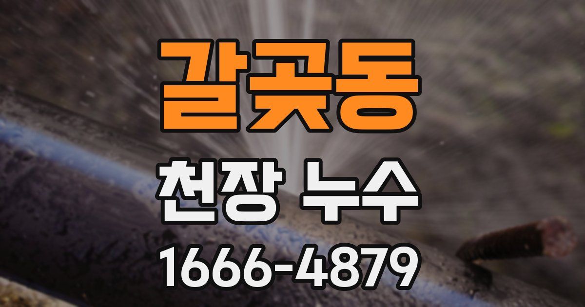 갈곶동 천장 누수