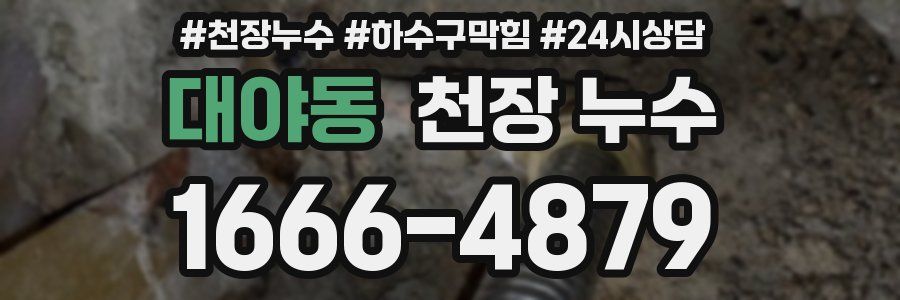 대야동 천장 누수