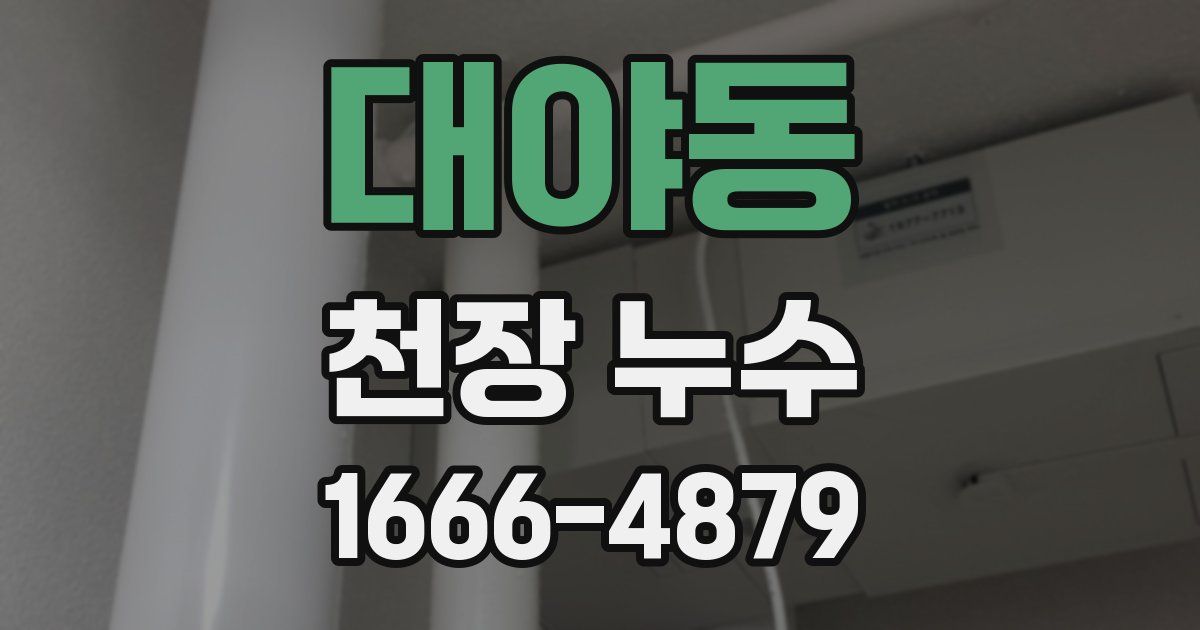 대야동 천장 누수