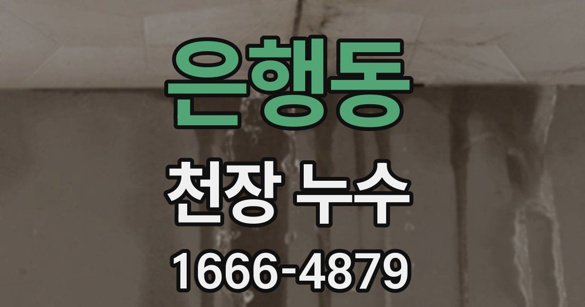 은행동 천장 누수
