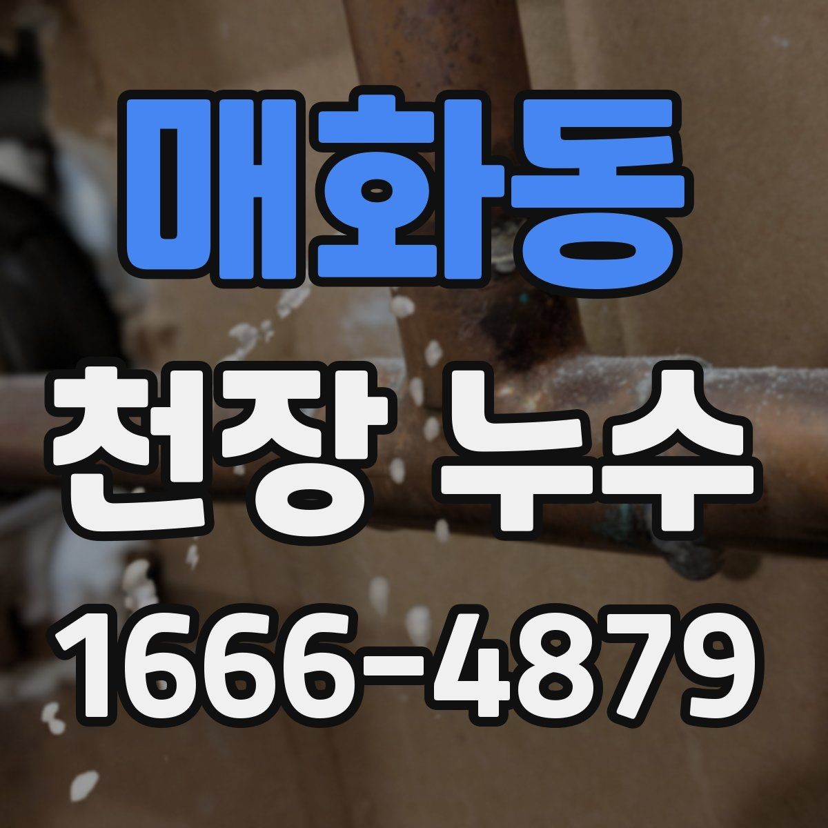 매화동 천장 누수 천장에 물방울이 생기면 즉시 대응이 필요합니다