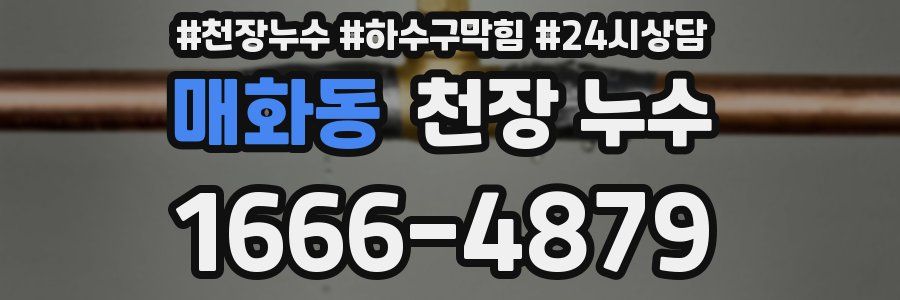 매화동 천장 누수