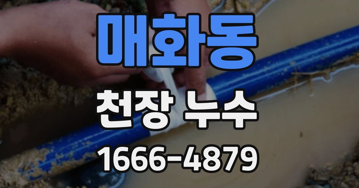 매화동 천장 누수